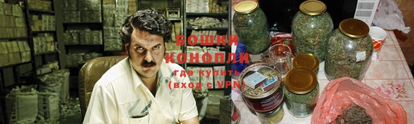 дурь Лиски